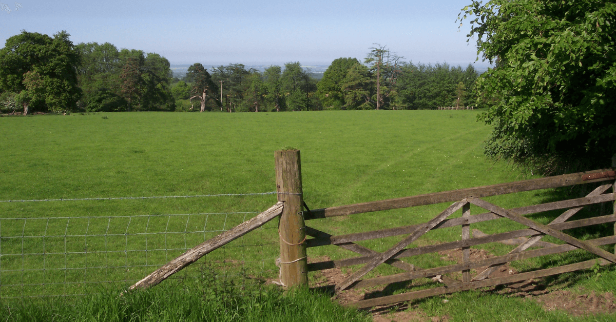 Featured Image for Thinking Outside the Box to Buy Land